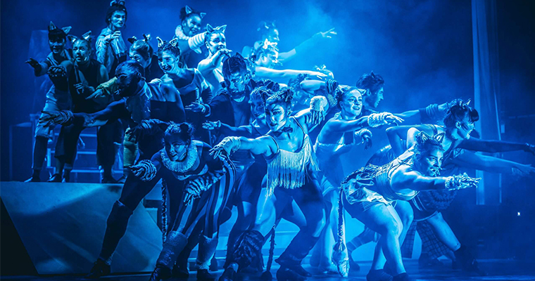 Musical Theatre University