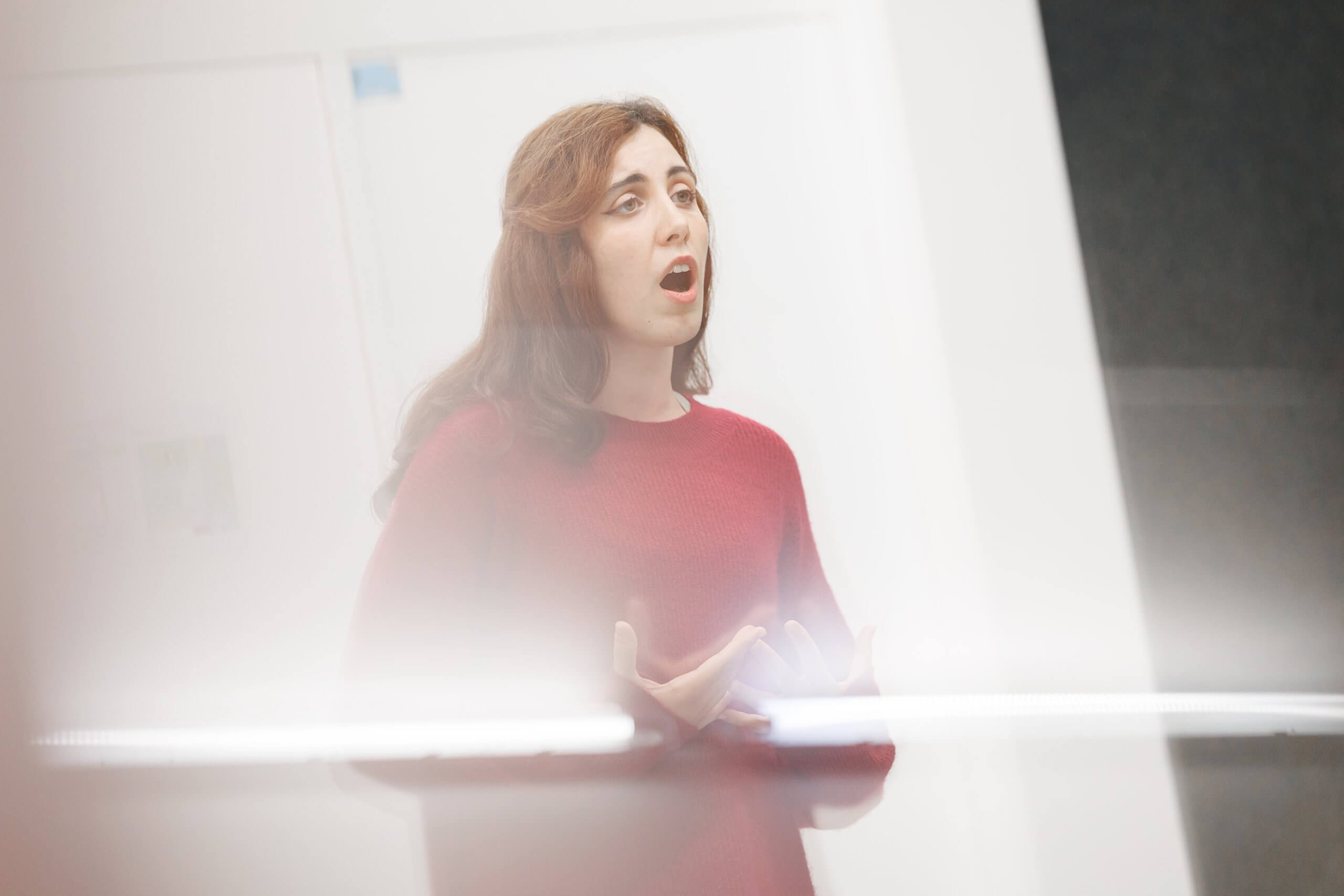 www-sergipanizo-cat_251103_iab_234